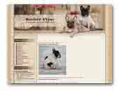 BUSHER PLJUS French Bulldog