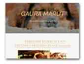 Gaura Marut Tibetan Mastiff