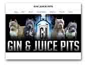 ginandjuicepits.com