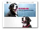 Great Swiss Mountain Dog Helvetian Star