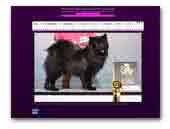 Herding Instinct's Kennel