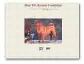Shar Pei Kennel Damishar