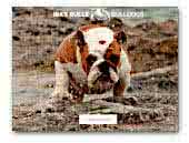 Ira's Bulls Bulldogs