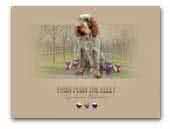 From Plum The Alley Spinone Italiano