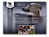 Tileco Italian Greyhound