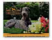 Irish Wolfhound vom Fürstenwall