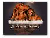 Ze Stoupovy chaloupky Dachshunds