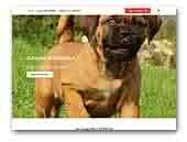 Juliana Boerboels