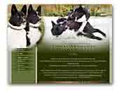 Atima Moravia Karelian Bear Dog