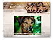 Kaweria Rhodesian Ridgeback