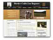 Los Baganes Border Collie