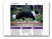 Loth Ardens Border Collie Kennel