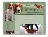 Welsh Springer Spaniel Mawredd kennel