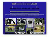 Riverrun Border Collies