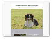 Minimark Miniature American Shepherd