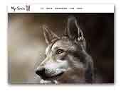 Myn Senca - Saarloos wolfdogs