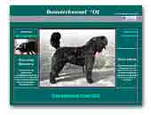 Bouvier des Flandres - Of Flanders Best