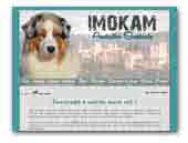 Imokam Australian Shepherds Kennel