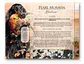 Pearl Moravia Gordon Setter