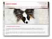 Petrixy Kennel Papillon