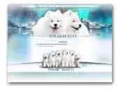 Polar Beauty Samoyed
