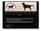Labrador Retrievers Just Precious Treasures