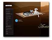 saluki.webgarden.com