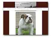 Desharonbull English Bulldog