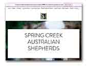 Spring Creek Australian Shepherds