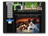 Sweet Nest FCI - Border collie kennel 