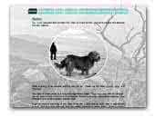Teamhrach (Tara) Glen of Imaal Terriers