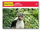 terierbrazylijski.pl