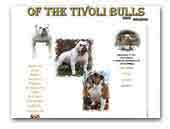 English Bulldog Kennel of the Tivoli Bulls