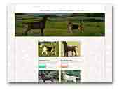 Westtano Labrador & Beagle kennel
