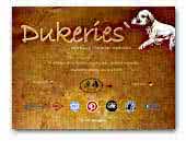 Dukeries - Working Clumber Spaniels