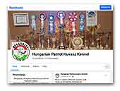 Hungarian Patriot Kuvasz