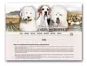 Agel Moravia English Pointer & Old English Sheepdog