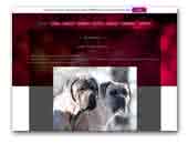Guard Dream - Cane Corso