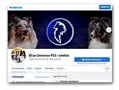 Blue Universe FCI Shetland sheepdog kennel