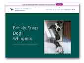 Briskly Snap Dog Whippet Kennel