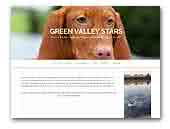 Green Valley Stars shorthair Vizsla kennel