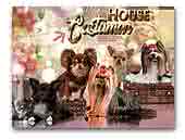 House Castamar Chihuahuas