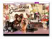 House Castamar Chihuahuas and Yorkshire Terriers
