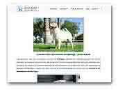 Criadero de labradores y Jack Russell terrier de pelo corto Javer-keleb