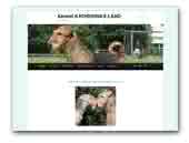 Kennel Katherina's Land Airedale terrier 