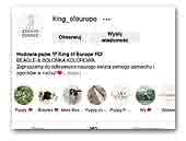 King of Europe FCI