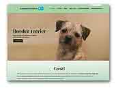 Kompani Bachusa Border Terrier