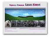 Legs-Smon Tibetan Terrier
