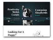 LeMitri's Pembroke Welsh Corgis & Caucasian Shepherds