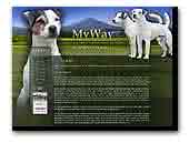 MyWay Jack Russell Terrier